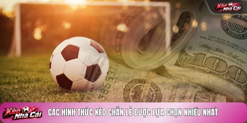 Các hình thức kèo chẵn lẻ được lựa chọn nhiều nhất