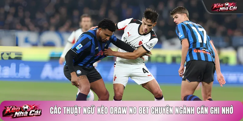 Các thuật ngữ kèo draw no bet chuyên ngành cần ghi nhớ