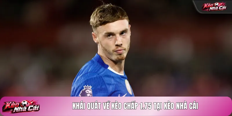 Khái quát về kèo chấp 1.75 tại kèo nhà cái