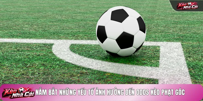 Nắm bắt những yếu tố ảnh hưởng đến odds kèo phạt góc